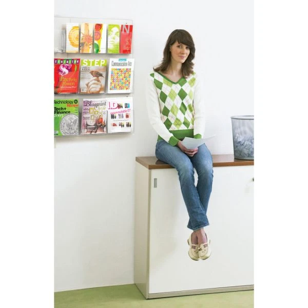 Safco Reveal Clear Literature Displays, 12 Compartments, 30w X 2d X 34.75h, Clear 4 Safco Reveal Clear Literature Displays, 12 Compartments, 30w X 2d X 34.75h, Clear - Image 4