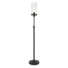 Frieda 66" Tall Floor Lamp With Glass Shade In Blackened Bronze/Seeded