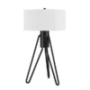 Floyd 25" Tall 2-Light Table Lamp With Fabric Shade In Blackened Bronze/White