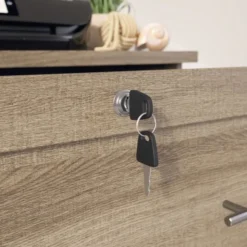 2-Drawer 30"W Lateral File Cabinet, Spring Oak 10 2-Drawer 30"W Lateral File Cabinet, Spring Oak -office furniture sale 3097e399a84e4c83cb68c97621fd9ca73b