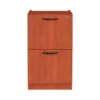 Alera Valencia Series Full Pedestal File, Left/Right, 2 Legal/Letter-Size File Drawers, Medium Cherry, 15.63" X 20.5" X 28.5"