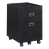 Brezio 19"D Vertical 2-Drawer Mobile File Cabinet, Black