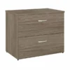 Bush Business Furniture Hybrid 2 Drawer Lateral File Cabinet In Modern Hickory - Assembled