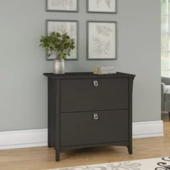 Bush Furniture Salinas 2 Drawer Lateral File Cabinet In Vintage Black 10 Bush Furniture Salinas 2 Drawer Lateral File Cabinet In Vintage Black -office furniture sale 67493df436af43cfc5c796075df22bc5db