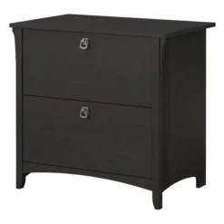 Bush Furniture Salinas 2 Drawer Lateral File Cabinet In Vintage Black