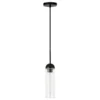 Kagan 3.5" Wide Pendant With Glass Shade In Blackened Steel/Clear