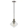 Zariza 8" Wide Pendant With Glass Shade In Brushed Nickel /Clear