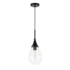 Ambrose 7.63" Wide Pendant With Glass Shade In Blackened Steel/Clear