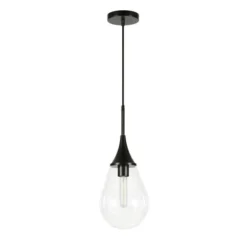 Ambrose 7.63" Wide Pendant With Glass Shade In Blackened Steel/Clear