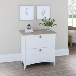Bush Furniture Salinas 2 Drawer Lateral File Cabinet In Pure White And Shiplap Gray -office furniture sale 886e55a6c254e11473daf5bc98e4d49d45