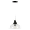 Magnolia 10.75" Wide Pendant With Glass Shade In Aged Steel/Seeded