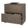 Pelingo 31”W Lateral 2-Drawer File Cabinet, Gray