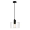 Henri 10" Wide Pendant With Glass Shade In Blackened Bronze/Clear