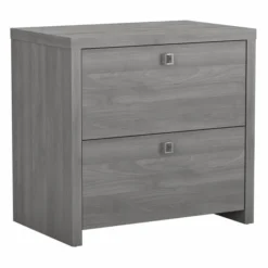 Office By Kathy Ireland Echo 2 Drawer Lateral File Cabinet In Modern Gray