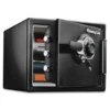 Sentry Safe Fire-Safe 0.8 Cu. Ft. Combination With Key, 16 3/8 X 19 3/8 X 13 3/4, Black