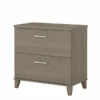 Bush Furniture Somerset 2 Drawer Lateral File Cabinet In Ash Gray