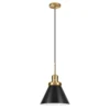 Zeno 12" Wide Pendant With Metal Shade In Brushed Brass/Blackened Bronze