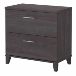 Bush Furniture Somerset 2 Drawer Lateral File Cabinet In Storm Gray