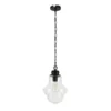 Annie 9.13" Wide Pendant With Glass Shade In Blackened Bronze/Clear