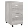 Bush Business Furniture Hybrid 2 Drawer Mobile File Cabinet In Platinum Gray - Assembled