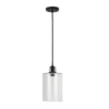 Nora 7.87" Wide Pendant With Glass Shade In Blackened Bronze/Seeded